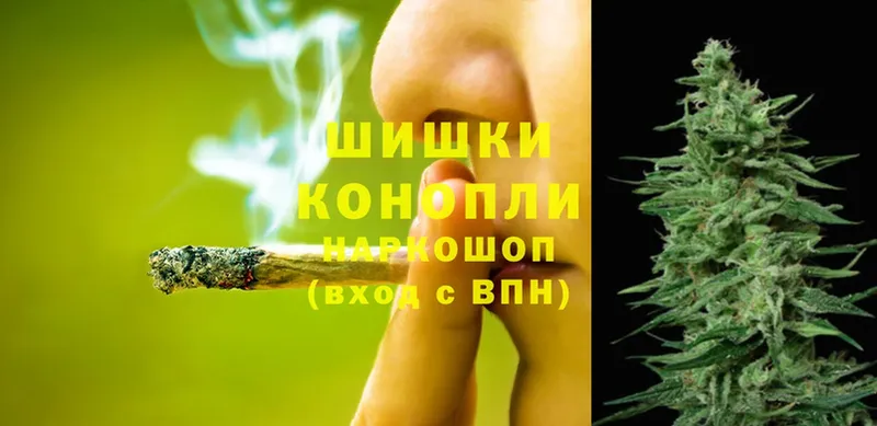 mega ссылки  Баксан  Каннабис SATIVA & INDICA  цены наркотик 